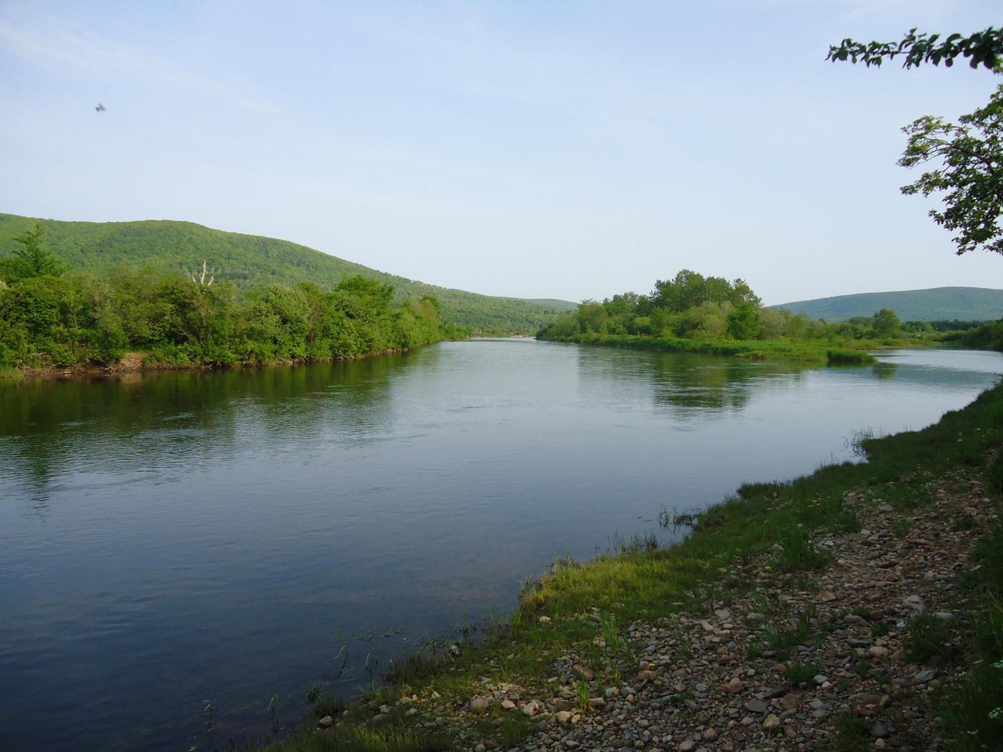 Cajun Cedar Log Cottages Margaree Forks Esterno foto