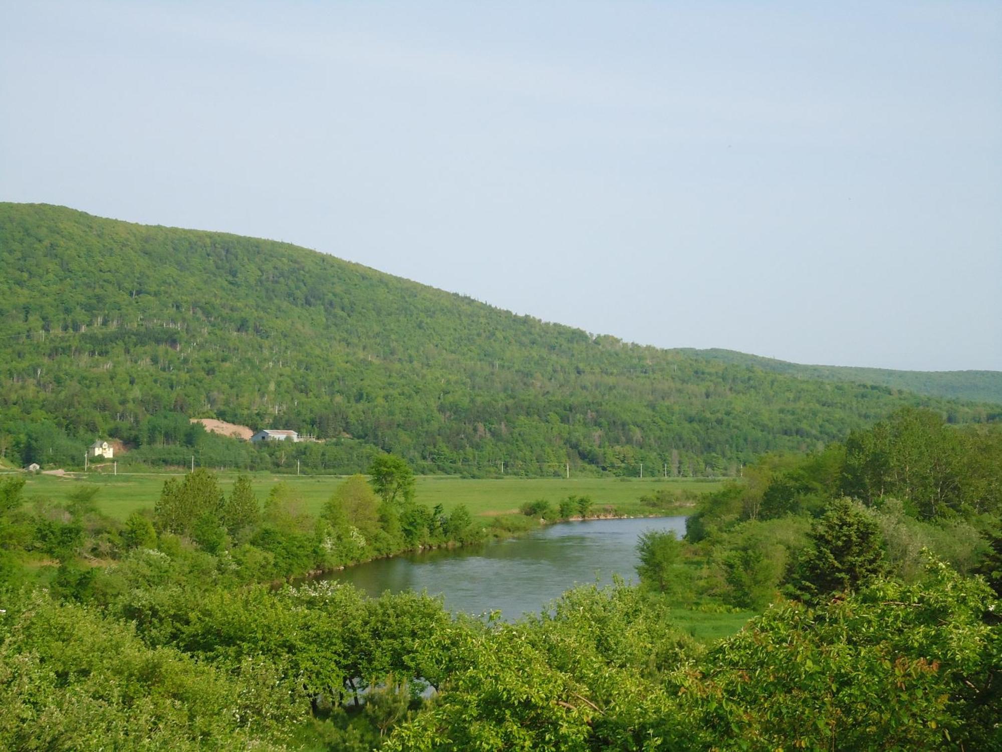 Cajun Cedar Log Cottages Margaree Forks Esterno foto