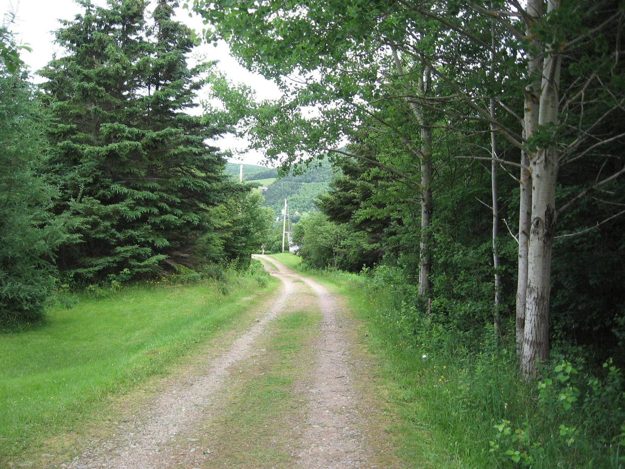 Cajun Cedar Log Cottages Margaree Forks Esterno foto