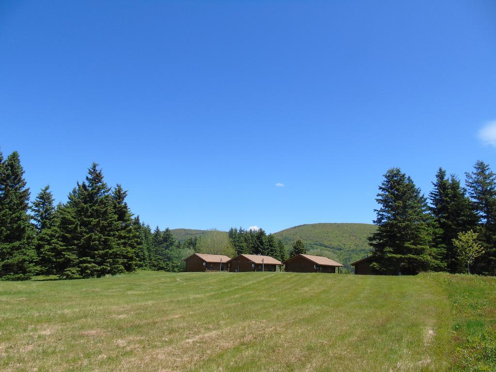 Cajun Cedar Log Cottages Margaree Forks Esterno foto
