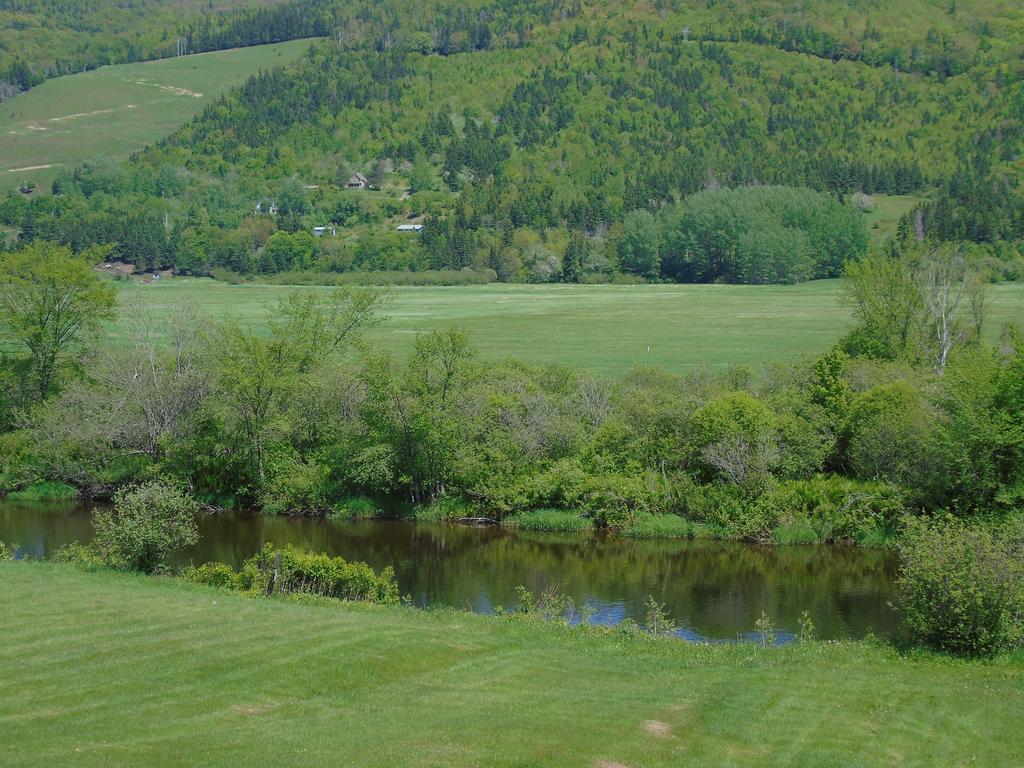 Cajun Cedar Log Cottages Margaree Forks Esterno foto