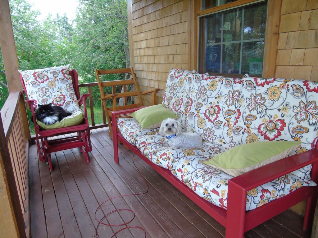 Cajun Cedar Log Cottages Margaree Forks Esterno foto