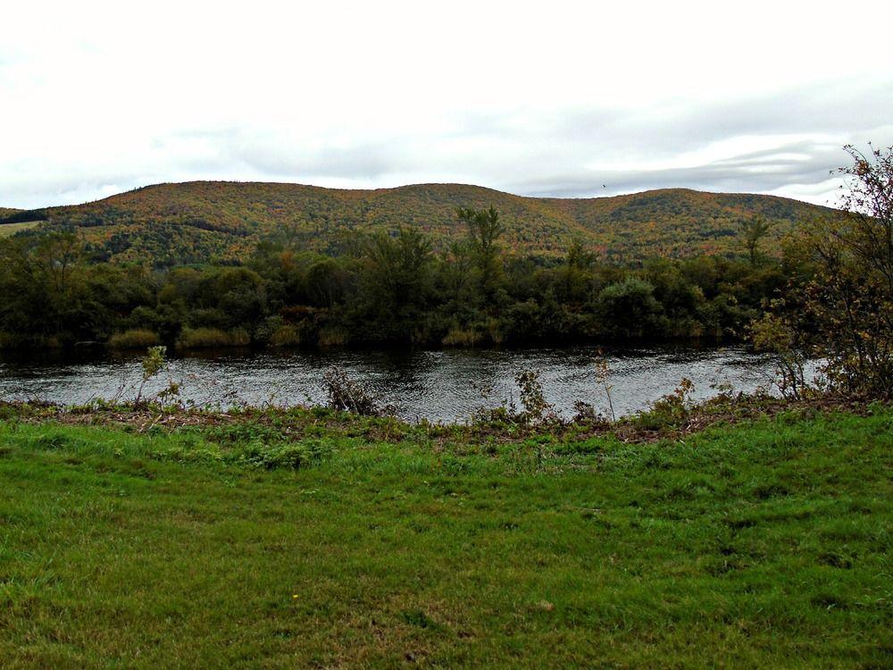 Cajun Cedar Log Cottages Margaree Forks Esterno foto