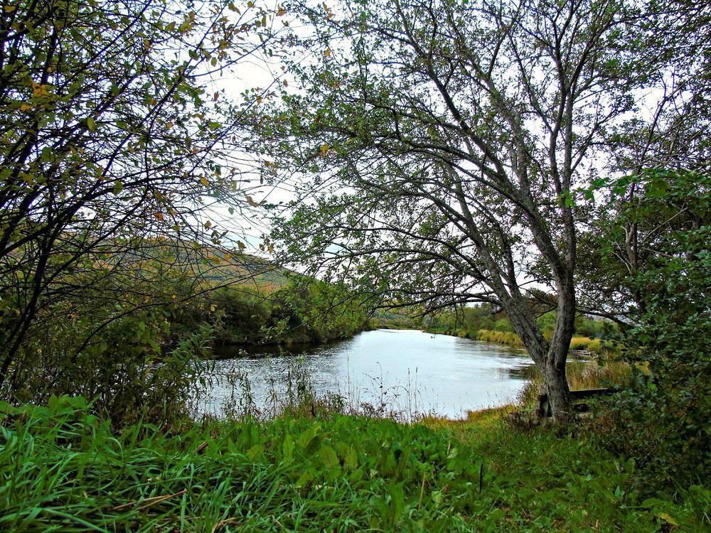 Cajun Cedar Log Cottages Margaree Forks Esterno foto