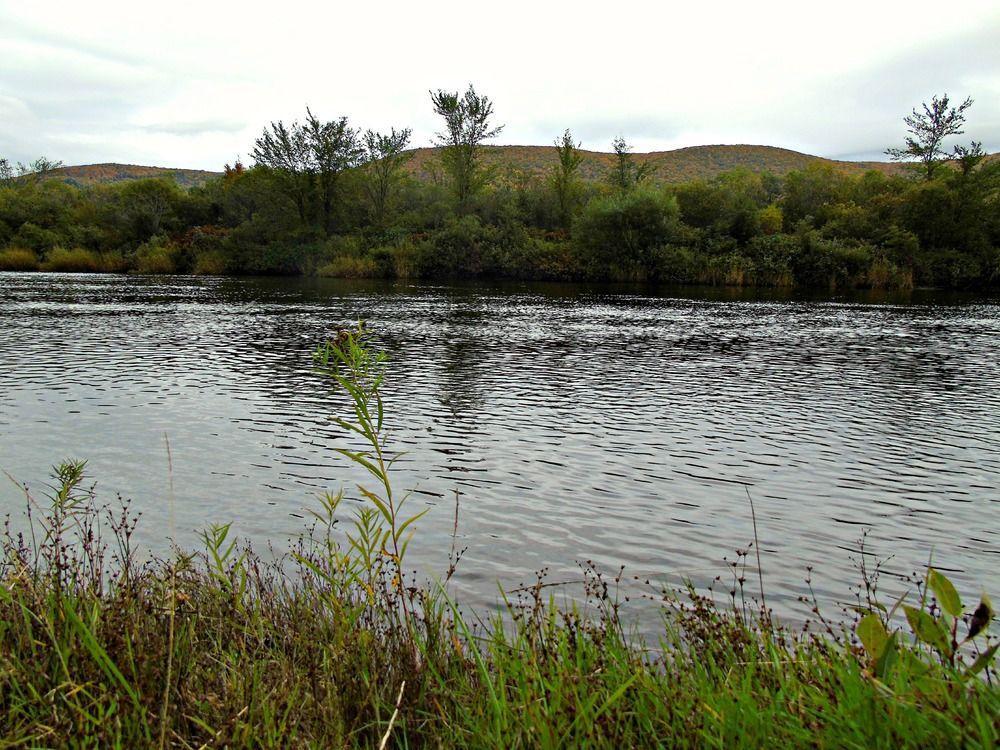 Cajun Cedar Log Cottages Margaree Forks Esterno foto