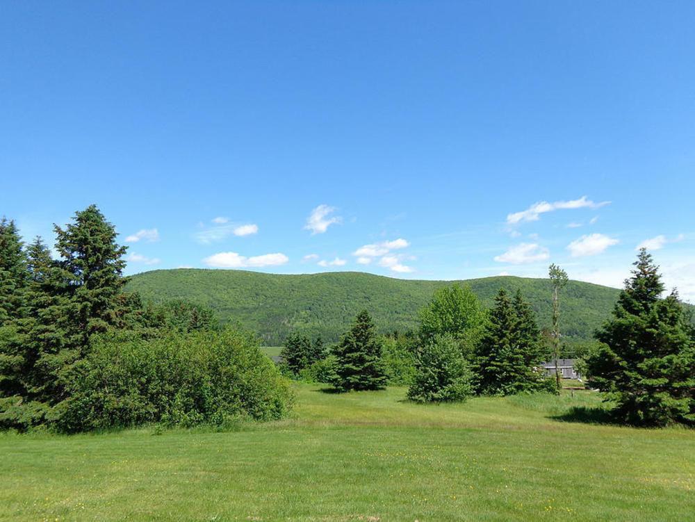 Cajun Cedar Log Cottages Margaree Forks Esterno foto