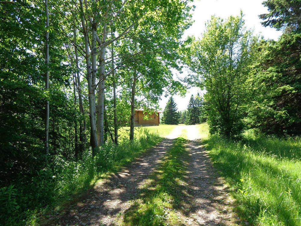 Cajun Cedar Log Cottages Margaree Forks Esterno foto