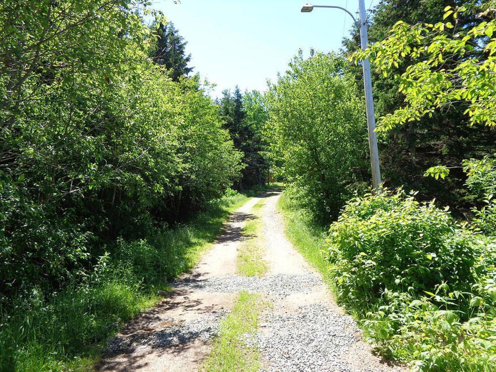 Cajun Cedar Log Cottages Margaree Forks Esterno foto