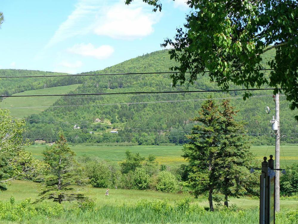 Cajun Cedar Log Cottages Margaree Forks Esterno foto