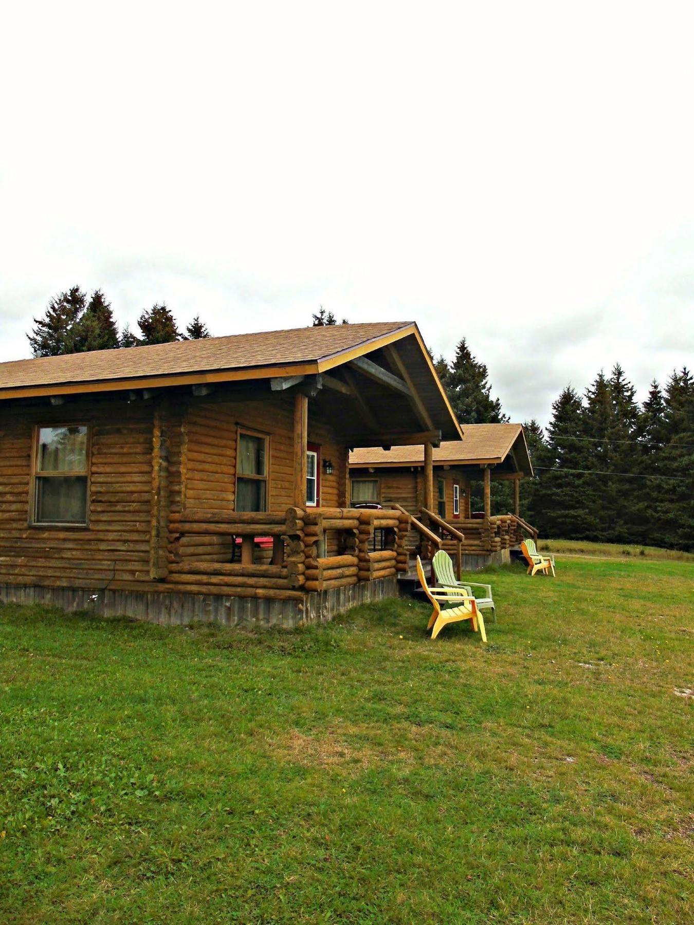 Cajun Cedar Log Cottages Margaree Forks Esterno foto