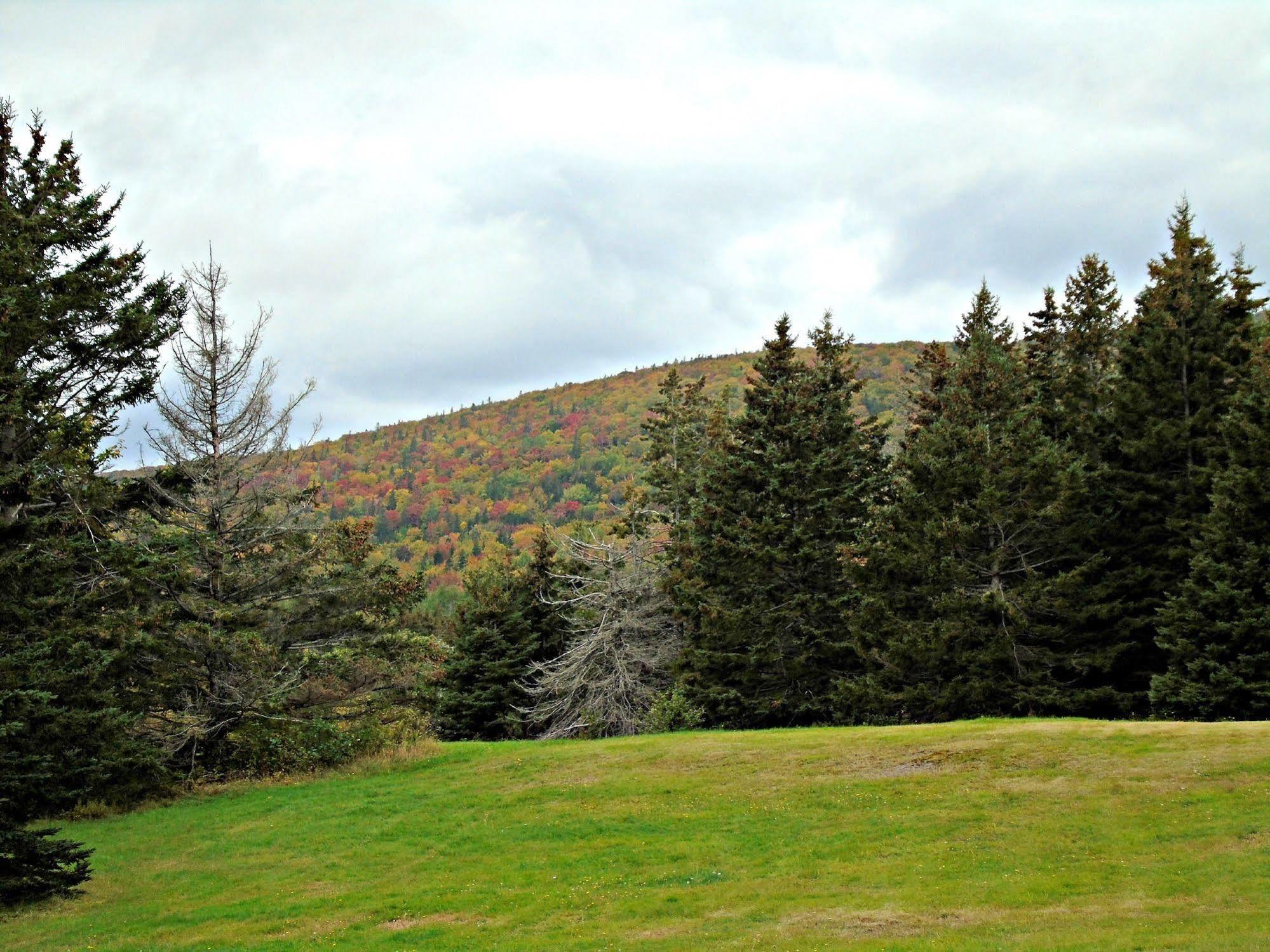 Cajun Cedar Log Cottages Margaree Forks Esterno foto